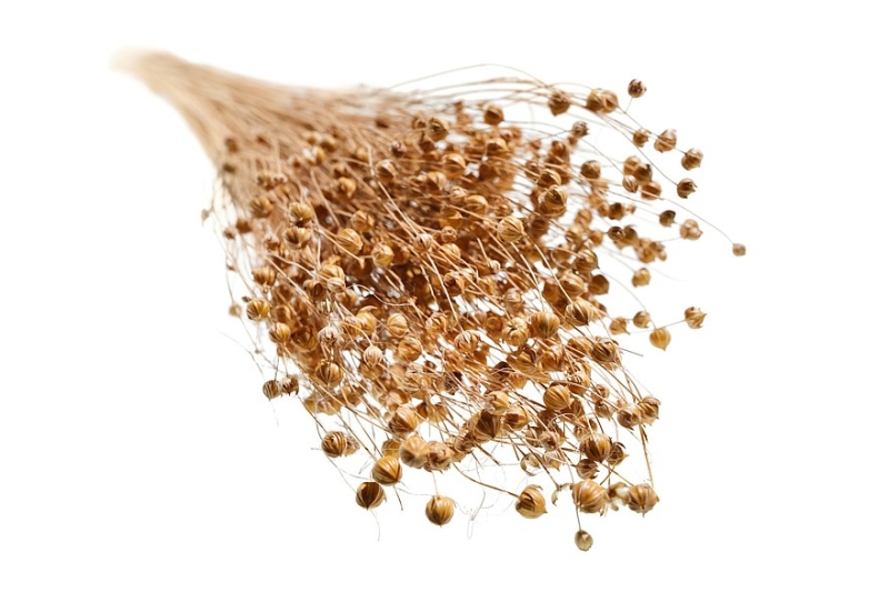 BMW объявила о начале использования биокомпозитов в серийных машинах