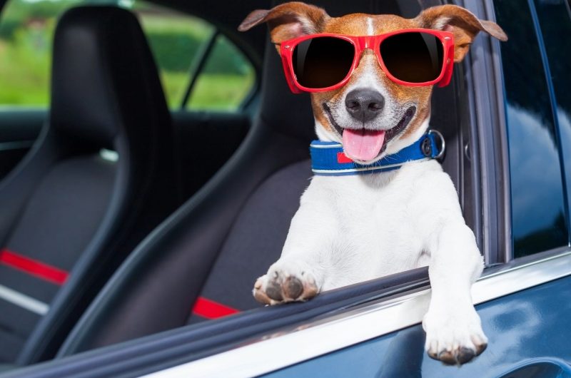 Август – время подарков: Kolesa.ru объявляют о старте нового конкурса в Telegram-канале