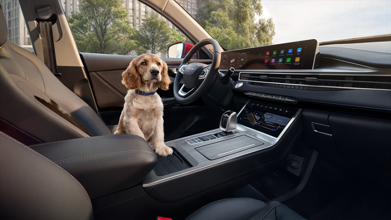 Компактный кроссовер Tenet T4 выходит на российский рынок, цены известны