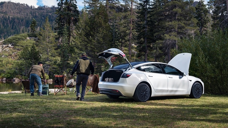 Голые и смешные: Tesla представила «дешёвые» Model Y Standard и Model 3 Standard