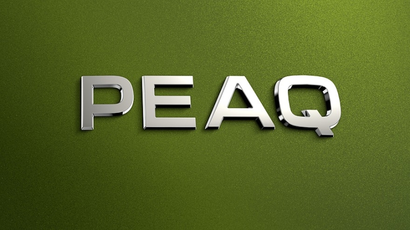 Skoda анонсировала новый семиместный кроссовер, который получил имя Peaq